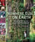 Nowhere Else on Earth - Standing Tall for the Great Bear Rainforest