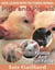 Pigs and Piglets Photos and Fun Facts for Kids - Kids Learn With Pictures, #65