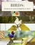 Birds: Which is Your Perfect Pet?