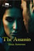 The Assassin - Black Irish, #5