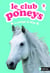 le club des poneys t5 : la protegee de neige - La protégée de Neige