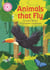 Animals That Fly - Independent Reading Pink 1B Non-fiction