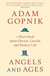 Angels and Ages - A short book about Darwin, Lincoln and modern life