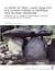Le dolmen du Villard, Lauzet-Ubaye (04) et le contexte funéraire auNéolithique dans les Alpes méridionales - Réflexions sur le mobilier et les pratiques funéraires au Campaniforme en Provence