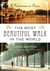 The Most Beautiful Walk in the World - A Pedestrian in Paris