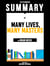 Extended Summary Of Many Lives, Many Masters - By Brian Weiss