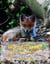 Wo ist Tarek? - Tarek, der kleine Fuchs