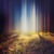 Seiden Gedanken - Poesie