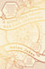 A Honeybee Heart Has Five Openings