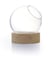 Vase globe sur socle en bois - 10 cm