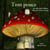 Tom Pouce des frères Grimm