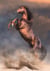 Puzzle 500 pièces - Wild Red Stallion - Clementoni
