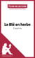 Le Blé en herbe de Colette - Analyse complète et résumé détaillé de l'oeuvre
