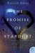 The Promise of Stardust - A Novel