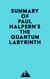 Summary of Paul Halpern's The Quantum Labyrinth