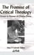 The Promise of Critical Theology - Essays in Honour of Charles Davis