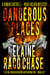 Dangerous Places - A Roman Cantrell-Nikki Holden Mystery, #1
