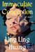 Immaculate Conception - A Novel