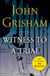 Witness to a Trial - A Short Story Prequel to The Whistler