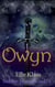 Owyn - hidden journals, #4