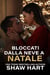 Bloccati dalla neve a Natale - Happily Ever Holiday