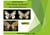 Für immer verloren? - Das Insektensterben