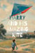 Harry and His Amazing Kite - Harry, #1