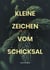 Kleine Zeichen vom Schicksal - Ein spannender Liebesroman mit Tiefgang