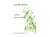 Sonate - partition guitare