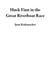 Huck Finn in the Great Riverboat Race - Beyond the Adventures of Huckleberry Finn, #2