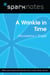 A Wrinkle in Time (SparkNotes Literature Guide)