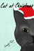 Cat at Christmas - Sammy the Cat, #2