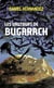 Les vautours de Bugarach