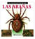 Las Arañas