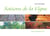 Saisons de la Vigne - "Valros Millésime 2013"