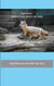 Familie Fuchs zieht in die Stadt - Geschichten aus dem Reich der Tiere