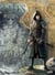 Elfes Tome 17 : le sang noir des Sylvains