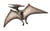 PTERANODON MUSEUM LINE PTERANODON MUSEUM LINE