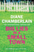 Big Lies in a Small Town - A shocking tale of mystery and suspense from the international bestseller Diane Chamberlain
