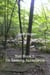 Tom Book 1 I'm Seeking Acceptance - Edenia, #142