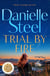 Trial by Fire - A powerful, romantic story about finding the courage to love again