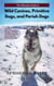 The Ultimate Guide to Wild Canines, Primitive Dogs, and Pariah Dogs