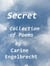 Secret (A Collection of Nine Poems)