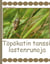Töpökatin tanssi - lastenrunoja