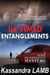 ILL-TIMED ENTANGLEMENTS - A Kate Huntington Mystery, #2