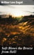 Soft Blows the Breeze from Hell! - A Coastal Town Haunted by Malevolent Spirits and Dark Secrets