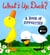 What's Up, Duck? - A Book of Opposites