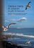 Oiseaux marins et cétacés du golfe de Gascogne - Répartition, évolution des populations et éléments pour la définition des aires marines protégées