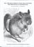 Jill the Dog's Choice: Level One Activities for Phonological Referencing