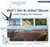 What I Saw in Grand Canyon - A Kid's Guide to the National Park